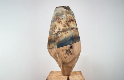  Sylvia Eustache Rools and J r me Pereira Carboniferous IV