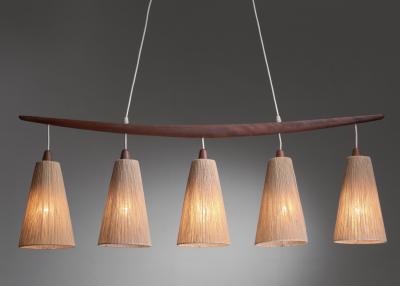  Temde Leuchten Temde chandelier with 5 shades