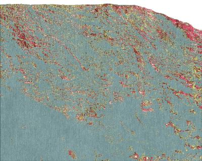  Temple rugs Inner Landscape