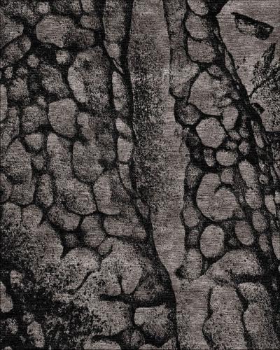  Temple rugs Salt Point