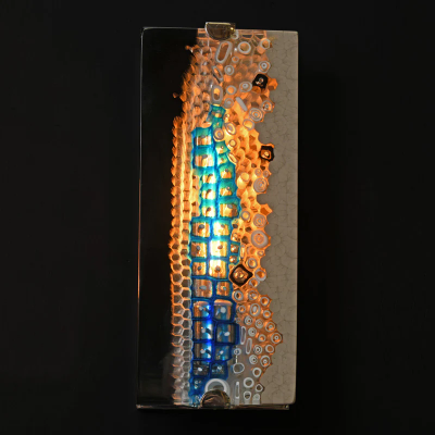  Thomas Cooper Studio Fonda Blu