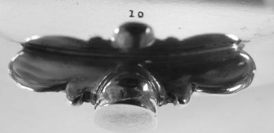  Tiffany Co Antique Tiffany Victorian Classical Sterling Silver Cake Plate