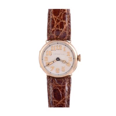 Longines - All the new Longines Timepieces for 2021 - Trends and style -  WorldTempus