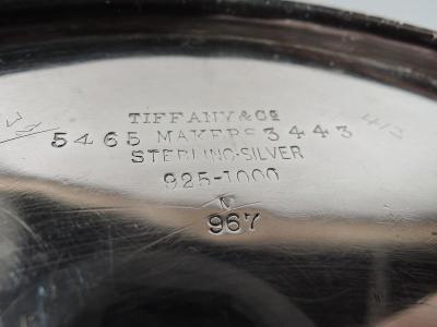  Tiffany Co Market Fresh Tiffany Mixed Metal Frog Beetle Water Pitcher C 1879