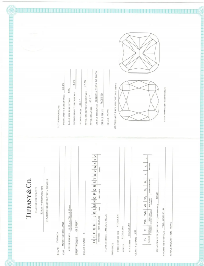 Tiffany Co Soleste Cushion 64ct Double Halo Engagement Ring with Diamond Band