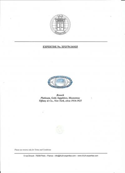  Tiffany Co Tiffany Co Art Nouveau Brooch Louis Comfort Tiffany