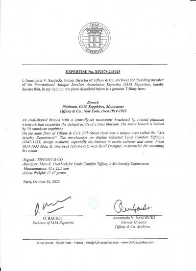  Tiffany Co Tiffany Co Art Nouveau Brooch Louis Comfort Tiffany