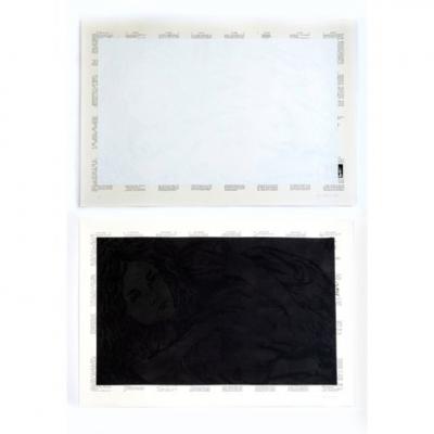  Tim Rollins Studio K O S Black Alice White Alice 1989