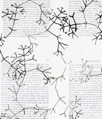  Tim Rollins Studio K O S One the Origin of Species after Charles Darwin 