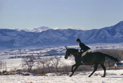  Toni Frissell A Horse Ride In The Snow