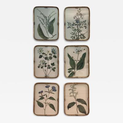  Uttermost Set of 6 Uttermost Botanical Prints in Gilt Metal Frames