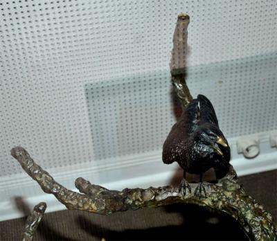  Valenti Fantastic dining talbe by Valenti