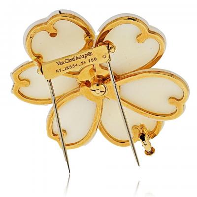 Van Cleef Arpels Van Cleef Arpels 18K Yellow Gold Rose De Noel 2 Inches White Coral Brooch