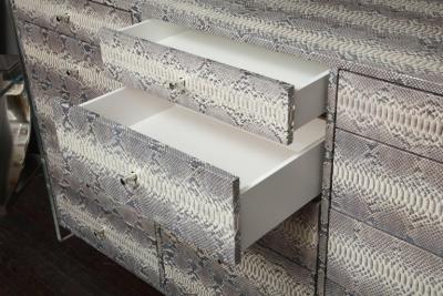  Venfield 15 Drawer Python Dresser with Lucite Side Panels