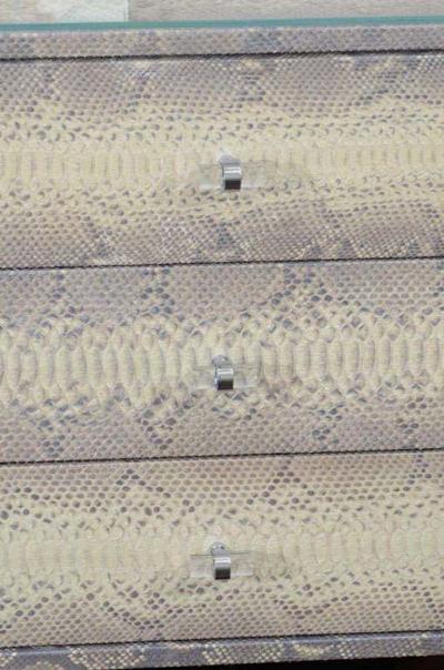  Venfield Custom 9 Drawer Python Dresser with Lucite Side Panels
