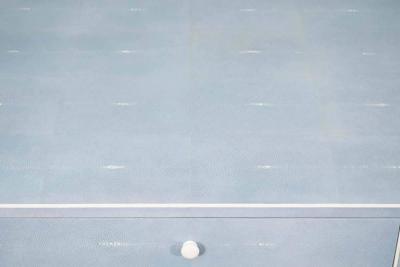  Venfield Custom Blue Shagreen and Bone Desk