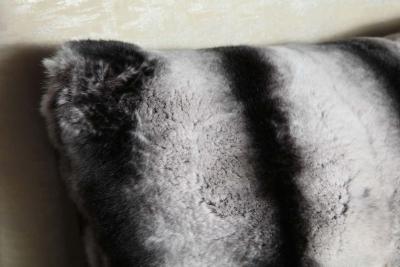  Venfield Custom Rex Rabbit Pillow