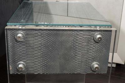  Venfield Pair of Gunmetal Gray Python Nightstands with Lucite Side Panels