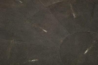  Venfield Round Black Genuine Shagreen Table with Parchment Base