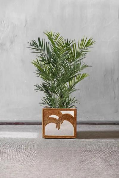  Vivai del Sud Planter With Palms With Invisible Wheels By Vivai Del Sud 1970