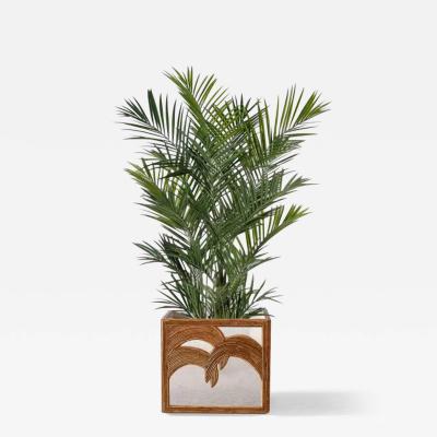  Vivai del Sud Planter With Palms With Invisible Wheels By Vivai Del Sud 1970