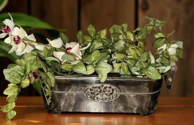  WMF W rttembergische Metallwarenfabrik W M F WMF German Silver Plate Art Nouveau Centerpiece with Original Glass Insert