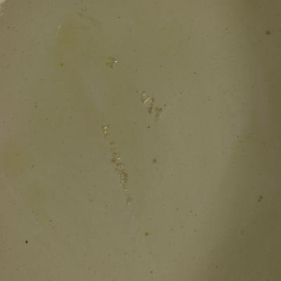  Wedgwood Wedgwood Majolica Cow Cheese Keeper