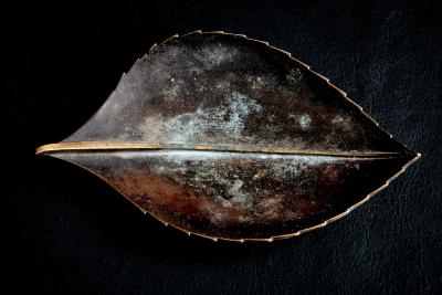  Werkst tte Carl Aub ck Leaf shaped brass Bowl with dark Patina by Werkst tte Carl Aub ck
