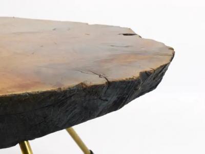  Werkst tte Carl Aub ck Original Carl Aubock Walnut Tree Trunk Coffee or Side Table 1950s