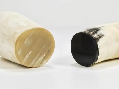  Werkst tte Carl Aub ck Two Carl Aubock Mid Century Horn Desk Pen Pencil Holder Cups Austria 1950s