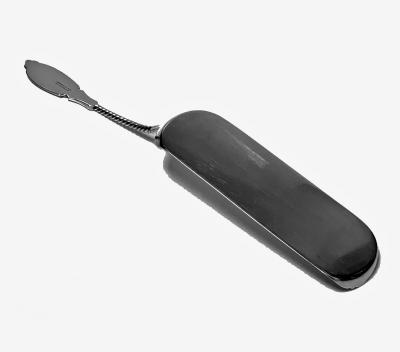William Gale Son William Gale American Sterling Silver Crumb Scoop Slice C 1860