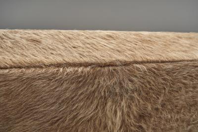  Wim Den Boon Oak Lounge Chair in Champagne Ponyskin by Wim den Boon the Netherlands 1960s