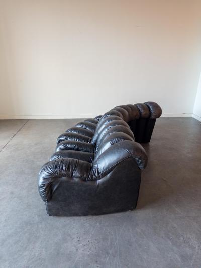  de Sede De Sede DS 600 Snake Sectional Sofa in Leather