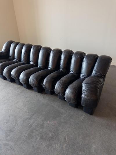  de Sede De Sede DS 600 Snake Sectional Sofa in Leather