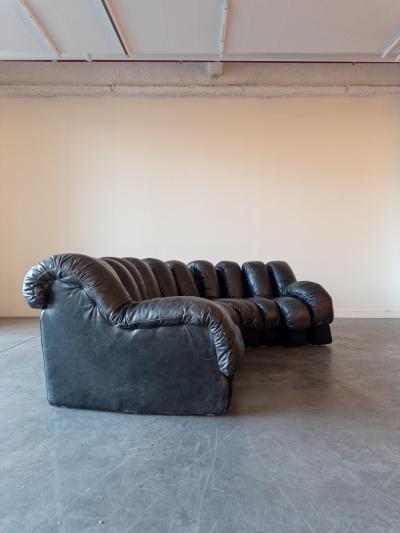  de Sede De Sede DS 600 Snake Sectional Sofa in Leather