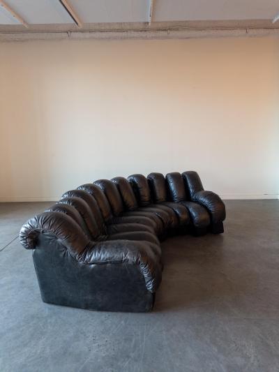  de Sede De Sede DS 600 Snake Sectional Sofa in Leather