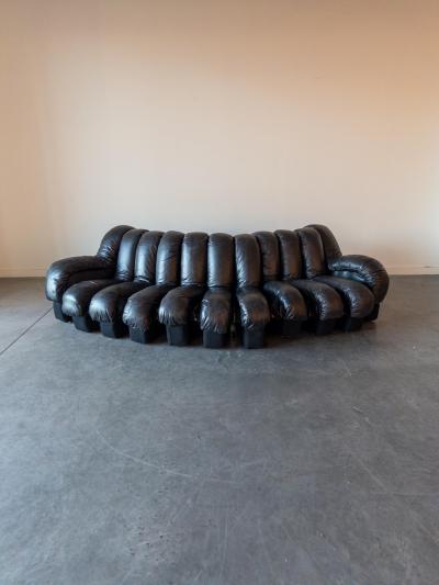  de Sede De Sede DS 600 Snake Sectional Sofa in Leather