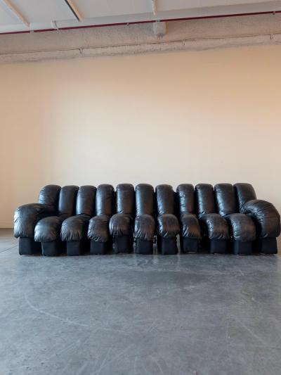  de Sede De Sede DS 600 Snake Sectional Sofa in Leather
