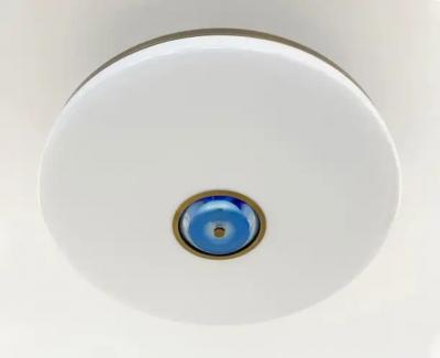  form A Iris Ceiling Light by Gaspare Asaro Satin Brass Finish