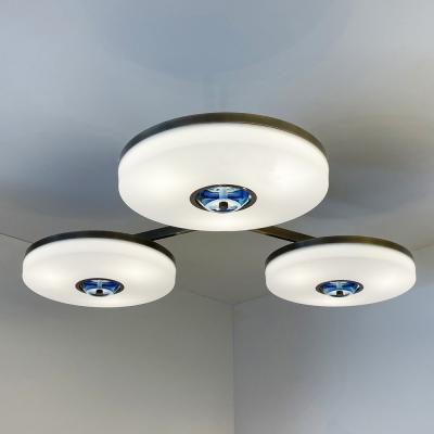  form A Iris N 3 Ceiling Light