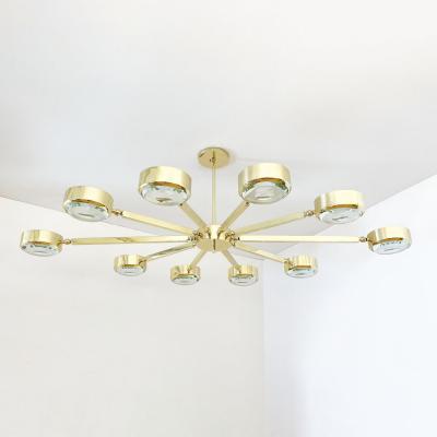  form A Oculus Articulating Ceiling Light Oval Version with Carved Glass