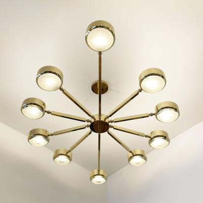  form A Oculus Articulating Ceiling Light Oval Version with Carved Glass