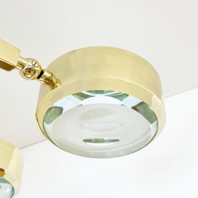  form A Oculus Articulating Ceiling Light Oval Version with Carved Glass