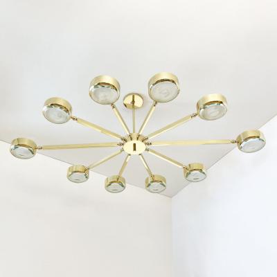  form A Oculus Articulating Ceiling Light Oval Version with Carved Glass