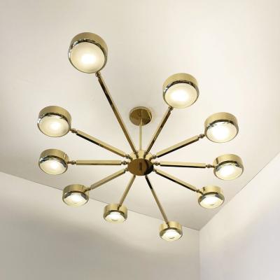  form A Oculus Articulating Ceiling Light Oval Version with Carved Glass