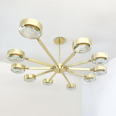  form A Oculus Articulating Ceiling Light Oval Version with Carved Glass