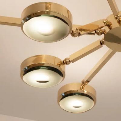  form A Oculus Articulating Ceiling Light Polished Nickel Finish and Carved Glass