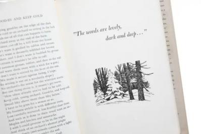 1 Volume Robert Frost You Come Too 