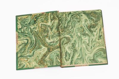 1 Volume Robert Louis Stevenson A Childs Garden of Verses