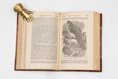 1 vol Charles Darwin The Descent of Man and Selection in Relation to Sex